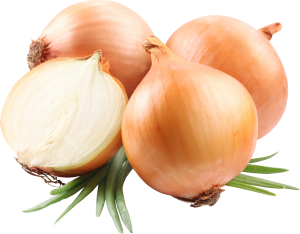 Onion PNG image, free download picture-605